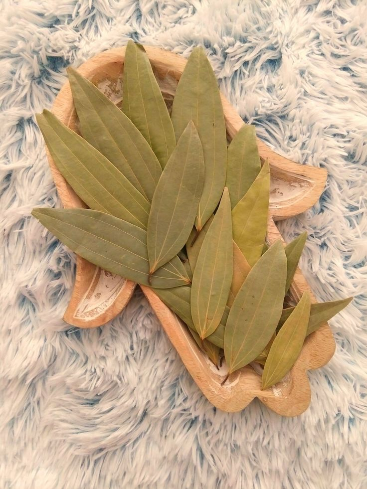 绿女巫丨十种常用的显化草药
